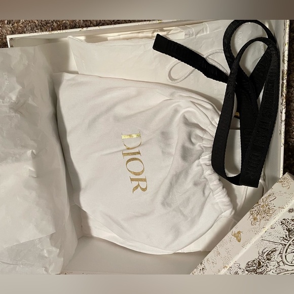 Authentic DIOR Saddle Oblique Belt Bag - Picture 12 of 16